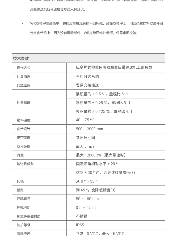 高速动态皮带秤